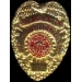 U SOUTHERN CALIFORNIA USC POLICE SERGEANT BADGE PIN